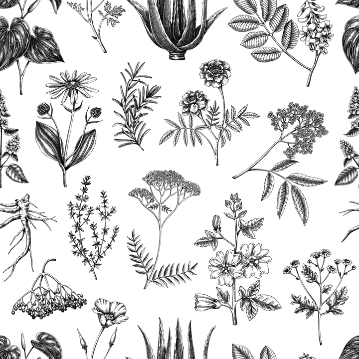 Apothecary plant background. Medicinal herbs seamless pattern. Herbal remedies, natural medicine, Healing plants sketches. Hand-drawn vector illustration.NOT AI genereted